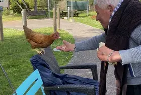 emeis balbigny poules