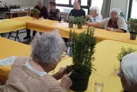 emeis jardins escudie troc
