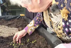 emeis aloes mai