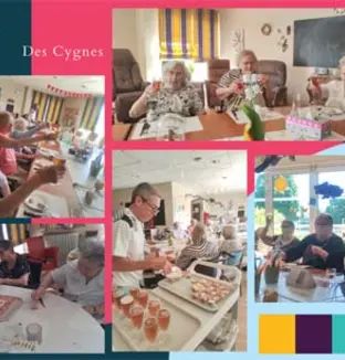 emeis cygnes pasa