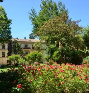 emeis clinique du pont du gard jardin