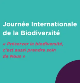 emeis_journée-internationale-biodiversité_petit