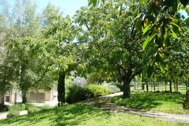 maison de retraite les amaltides chatenoy le royal jardin