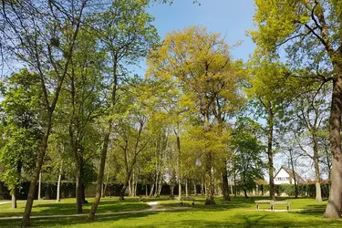 jardin clinique l abbaye viry chatillon 91