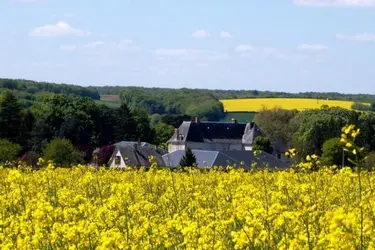 clinique du haut cluzeau chasseneuil en berry 09
