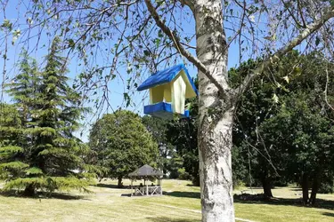 clinique saint vincent larmor plage jardin