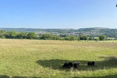 maison de retraite les millesimes prairie