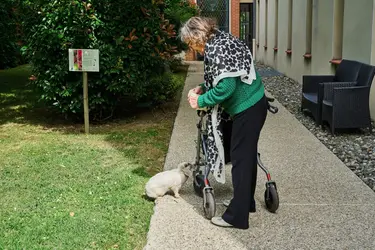 residence crampel animaux residents