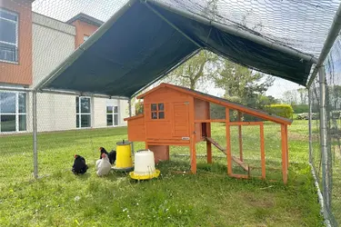 residence les garancieres poulailler