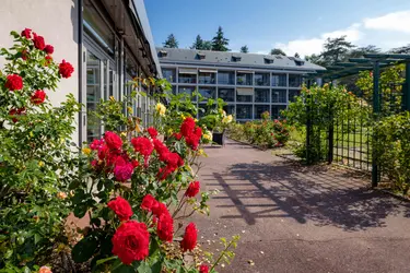 residence rene legros dourdon jardin 0